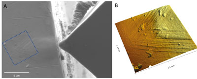 Fig. 2: Combination of AFM, SEM and nanoindentation in one system. A shows the SEM and B the corresponding AFM image