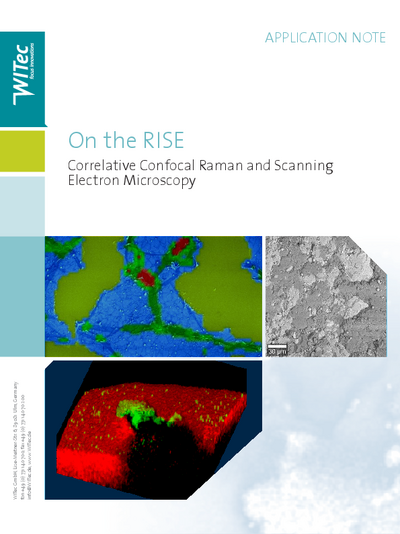 On the RISE - Correlative Confocal Raman and Scanning Electron Microscopy