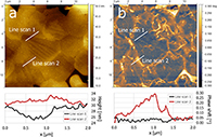 Complementary Evaluation of Potential Barriers in Semiconducting Barium Titanate by Electrostatic Force Microscopy and Capacitance-Voltage Measurements
