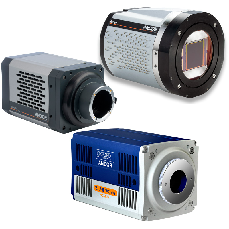 CCD-, EMCCD- und sCMOS-Kameras für Bildgebung - sCMOS-Kameras für physikalische Anwendungen