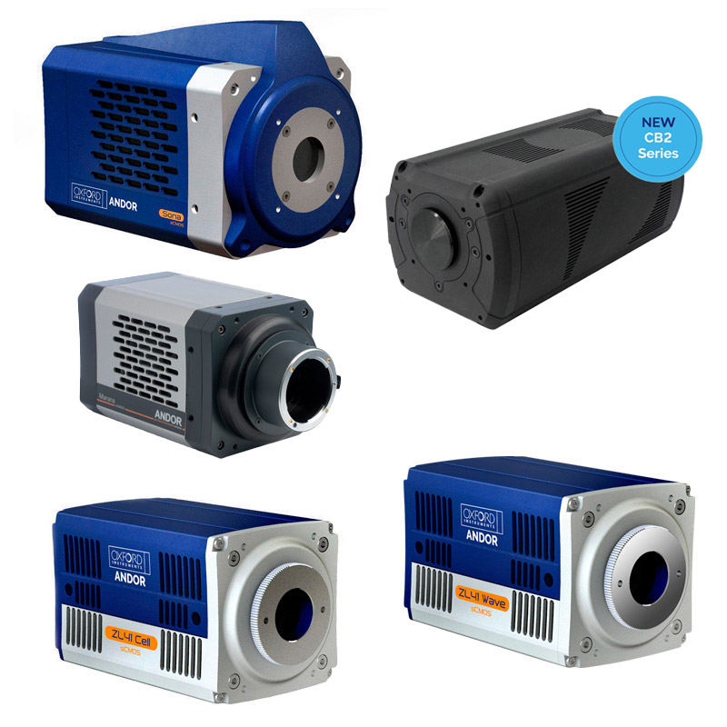 CCD-, EMCCD- und sCMOS-Kameras für Bildgebung - sCMOS cameras