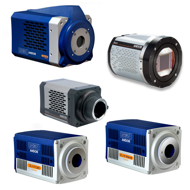 CCD, EMCCD and sCMOS cameras for imaging - sCMOS cameras