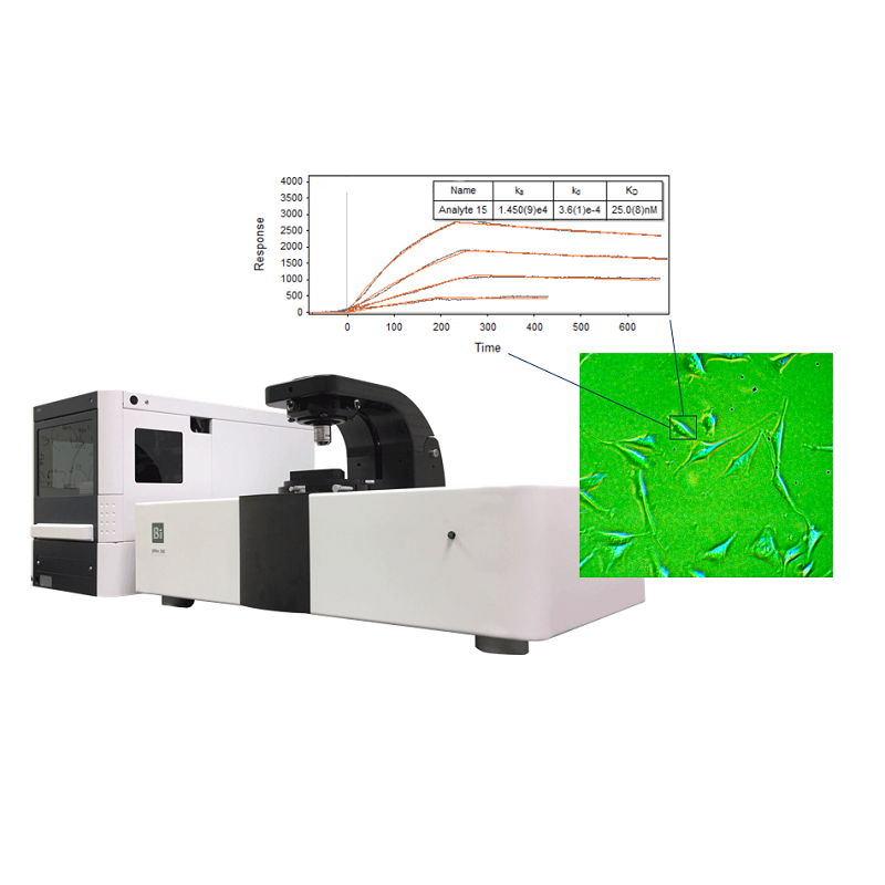 Strumenti di Surface Plasmon Resonance (SPR) - Sistema di Surface Plasmon Resonance microscopy (SPRm)