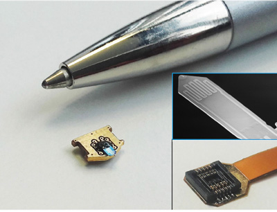 [Übersetzen in "Deutsch"] Abb. 1: REM-Aufnahme eines piezoresistiven Self-Sensing Cantilevers (Si-Spitze, l = 300 µm) sowie Größenverhältnisse und Stecker