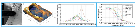 AFSEM measurement on bone