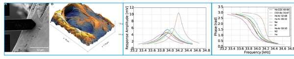 AFSEM-Messung an einem Knochen in einem REM und Gas-Analyse mit SCL-Cantilever