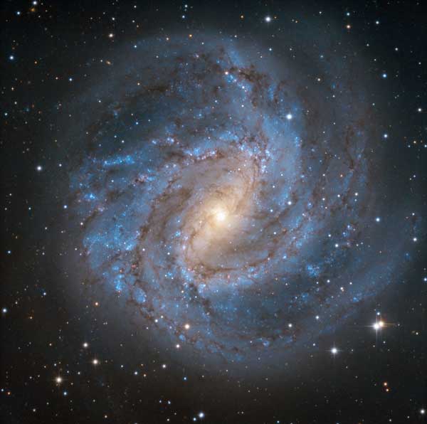 M83, die Southern Pinwheel Galaxy, ebenfalls aufgenommen mit dem Europa-Teleskop. M83 war auch ein First Light Bild des SPECULOOS-Prototypteleskops TRAPPIST-Süd am ESO-Observatorium La Silla – Credit: SPECULOOS Team/E. Jehin/ESO