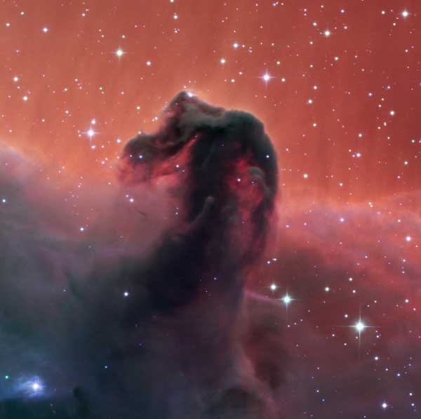 Dieses erste Bild des Callisto-Teleskops zeigt den berühmten Pferdekopfnebel. – Credit: SPECULOOS Team/E. Jehin/ESO