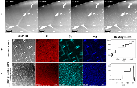 In situ observations  of nano precipitate growth