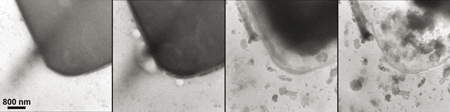 In situ TEM experiment with electrochemical cell 