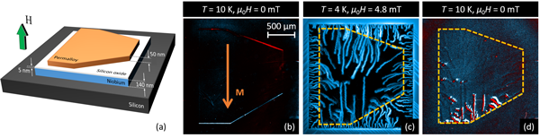 Sample: Nb superconductor was coated with NiFe as magnetic medium