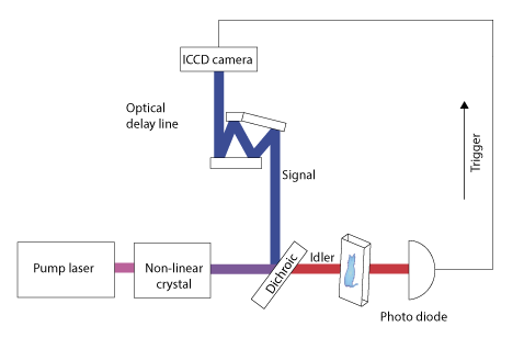 Experimental ghost imaging setup for the simultaneous detection of a photon pair with different wavelengths