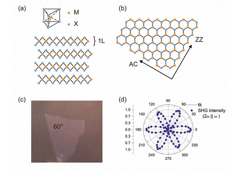 Relative orientation of 2D semiconductors Relative orientation of 2D semiconductors