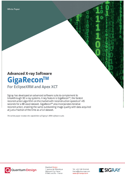 GigaRecon Software White paper