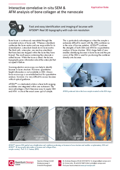 In-situ bone analysis - Application Note