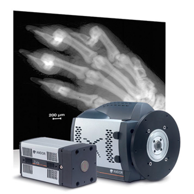 EUV-Detektoren & Röntgenkameras - Kameras für faser-gekoppelte Szintillatoren