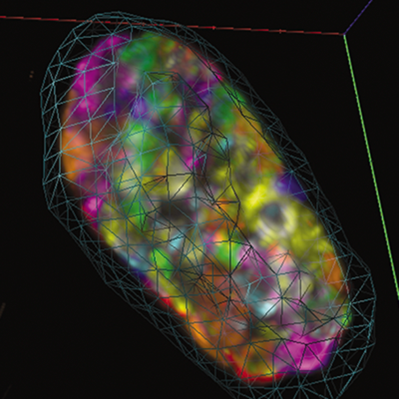 Filtres pour analyse de fluorescence - Ensembles de filtres ET à magnétron modifié