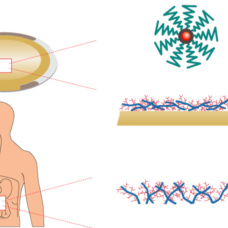 model-system for nanoparticle interactions