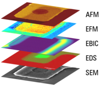 Correlation of microscopy data with FusionScope