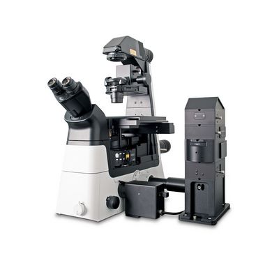 Inverted Confocal Raman Imaging