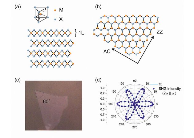 Relative orientation of 2D semiconductors