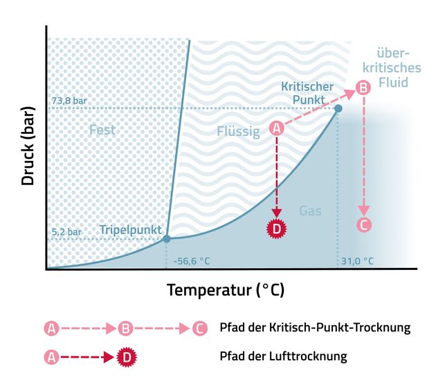 Kritisch-Punkt-Trocknung
