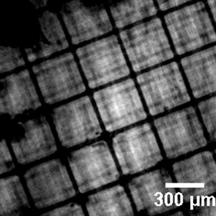 fig4 final image fig4 final image