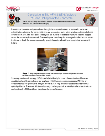 2024-09 – Correlative In-Situ AFM & SEM Analysis of Bone Collagen at the Nanoscale