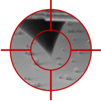 SEM for targeted AFM measurements