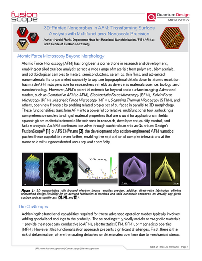 2025-02 – 3D-Printed Nanoprobes in AFM: Transforming Surface Analysis with Multifunctional Nanoscale Precision