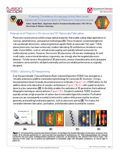 2024-12 – Pushing Correlative Microscopy to the Next Level: Advanced Characterization of Plasmonic Nanostructures