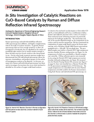 In Situ Investigation of Catalytic Reactions on CuO-Based Catalysts by Raman and Diffuse Reflection Infrared Spectroscopy